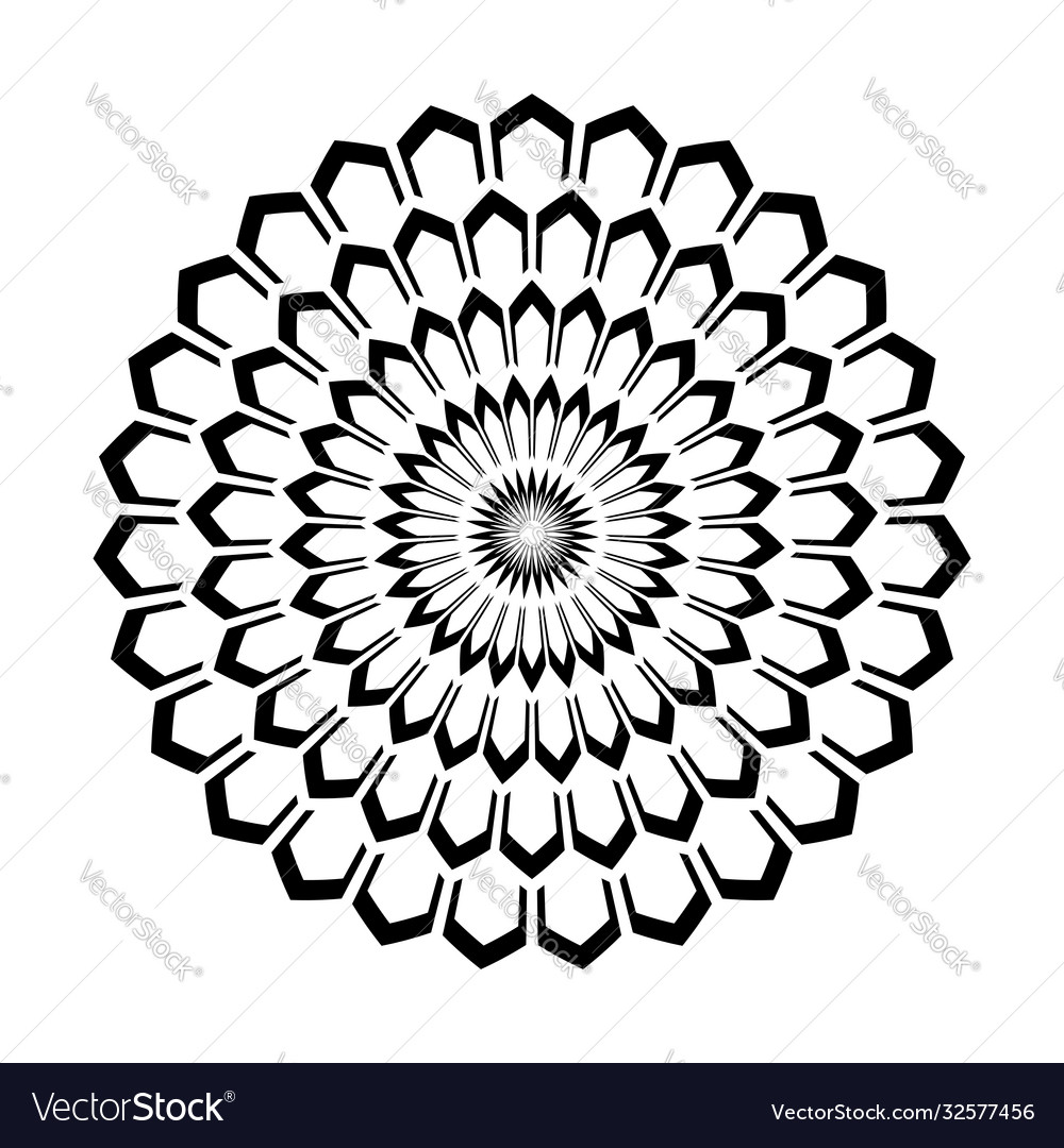 Circle design element vector image Circle design element