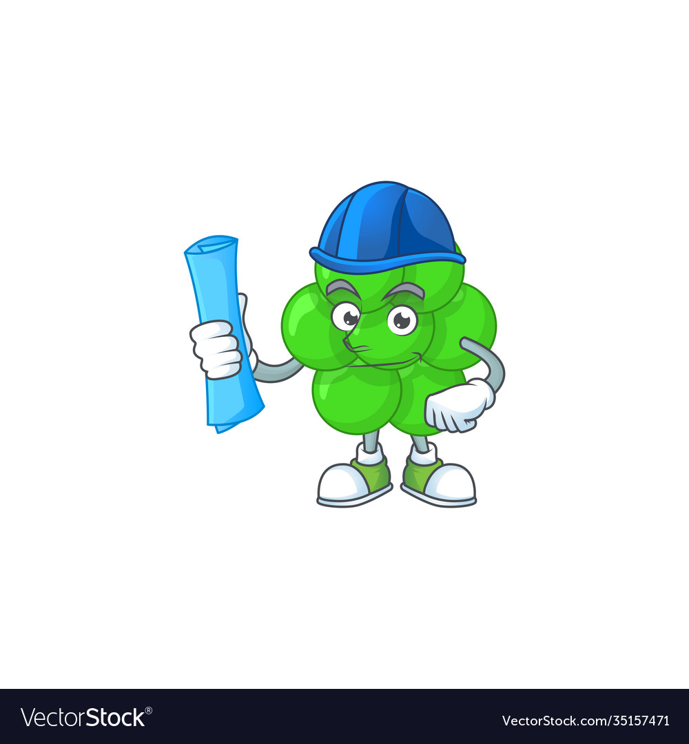 Brilliant architect staphylococcus aureus mascot