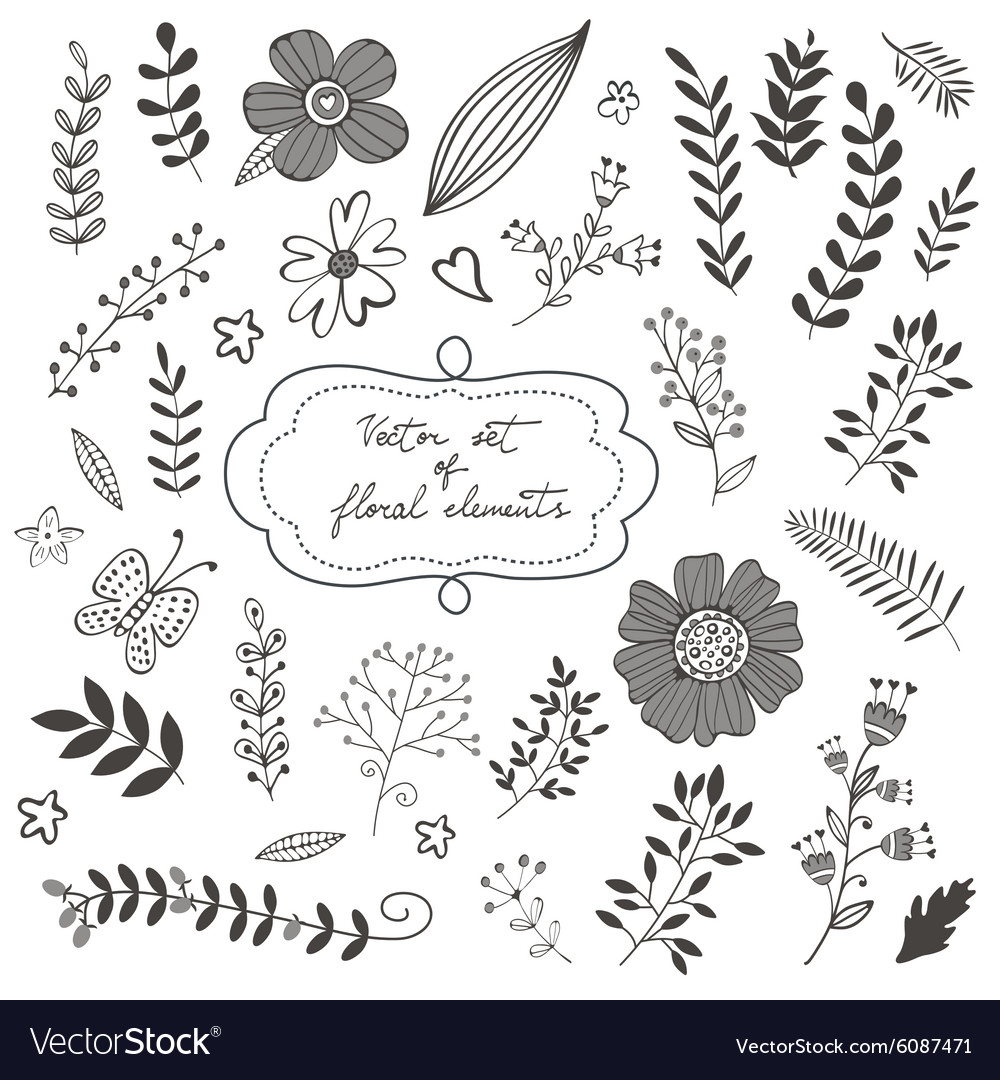 Elegant collection with flowers leaves and twigs