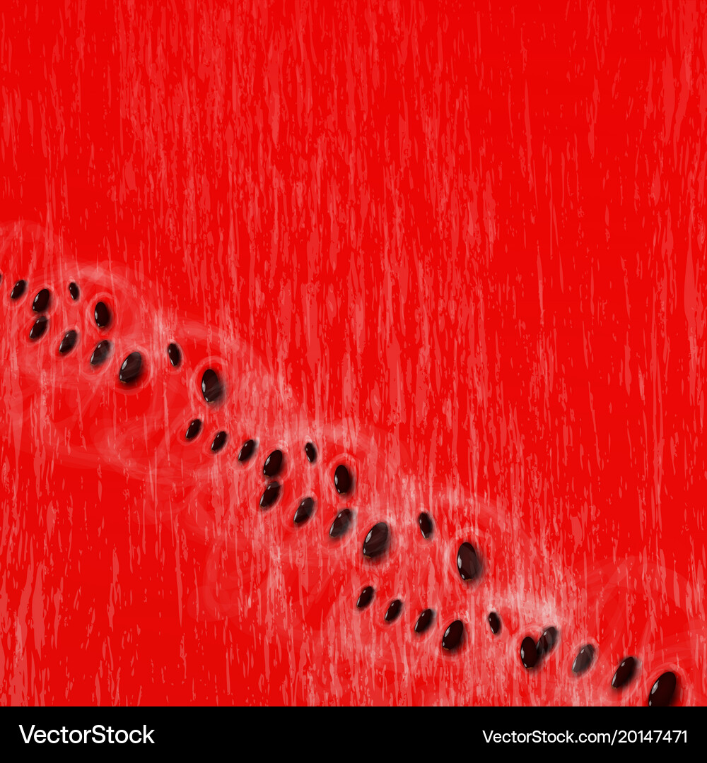Watermelon background Royalty Free Vector Image