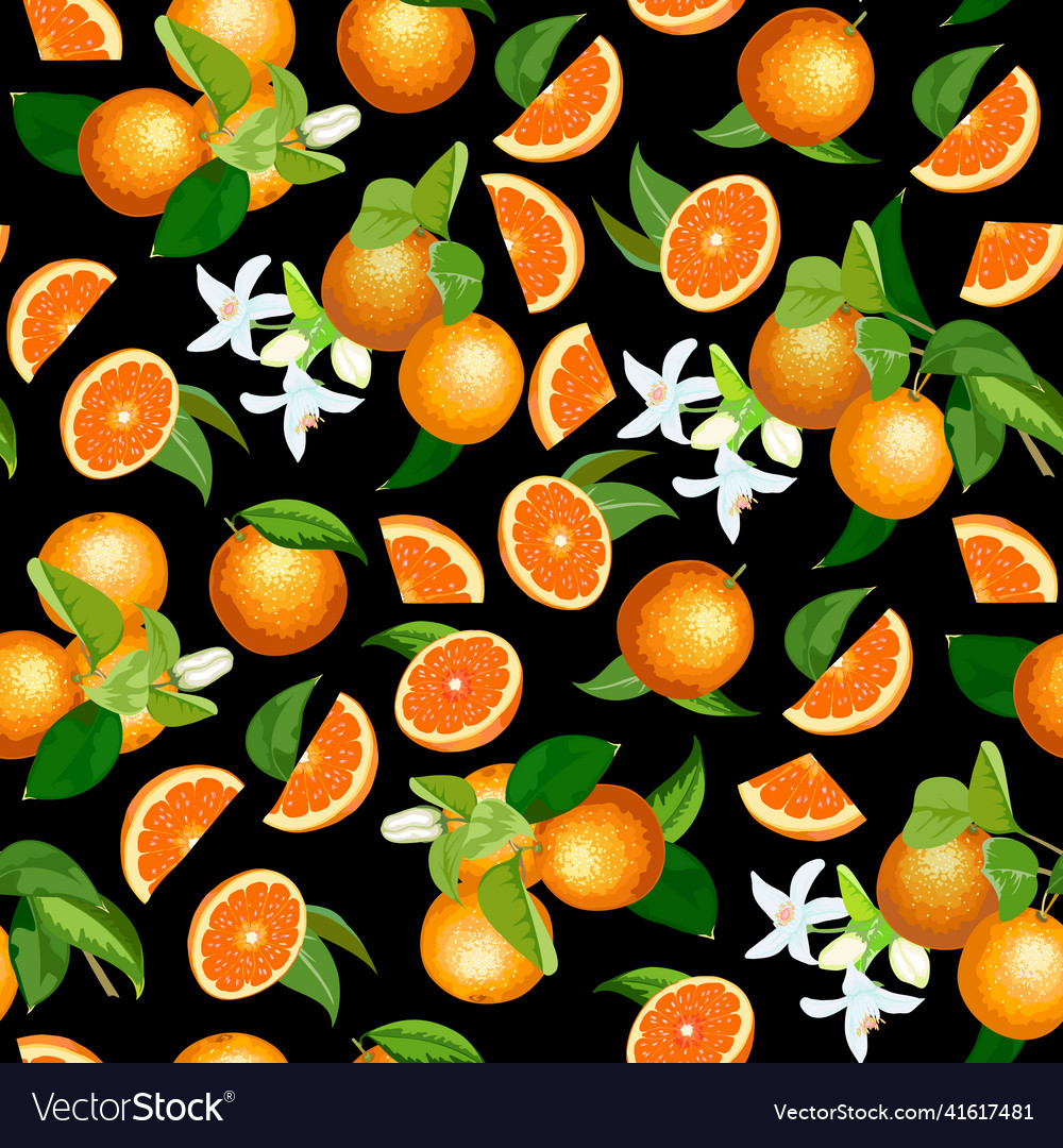 Pattern with oranges vector image Pattern with oranges