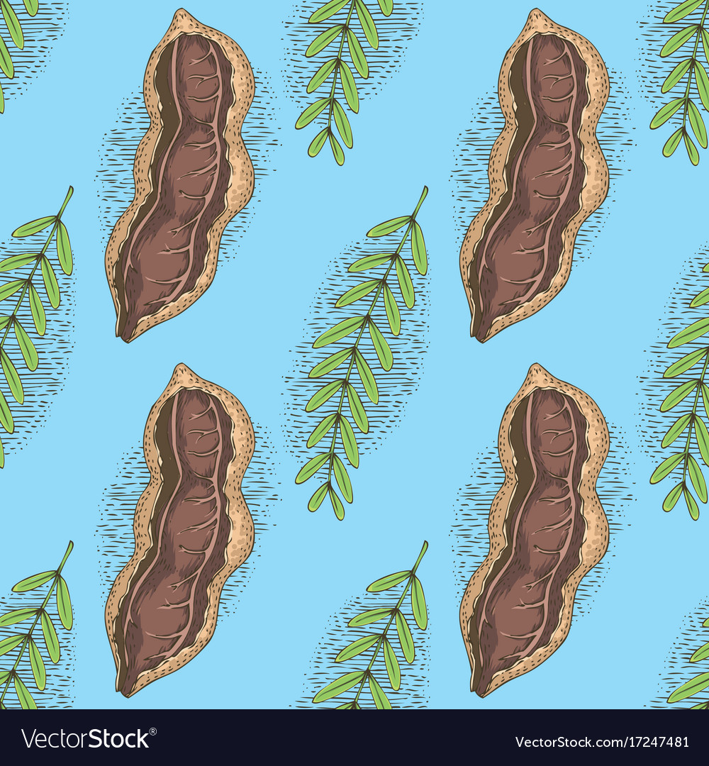 Seamless pattern ripe tamarind in cross section