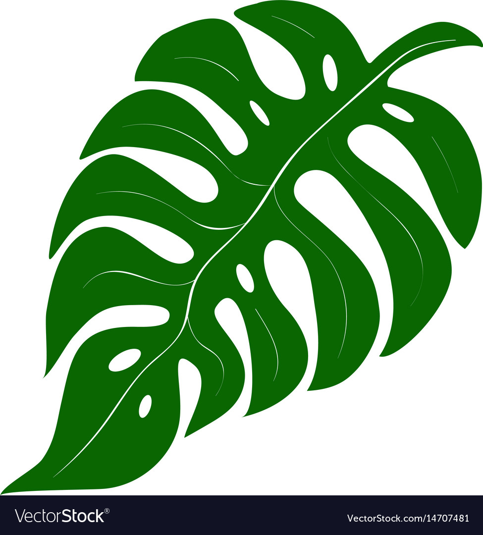 Summer palm leaf Royalty Free Vector Image - VectorStock