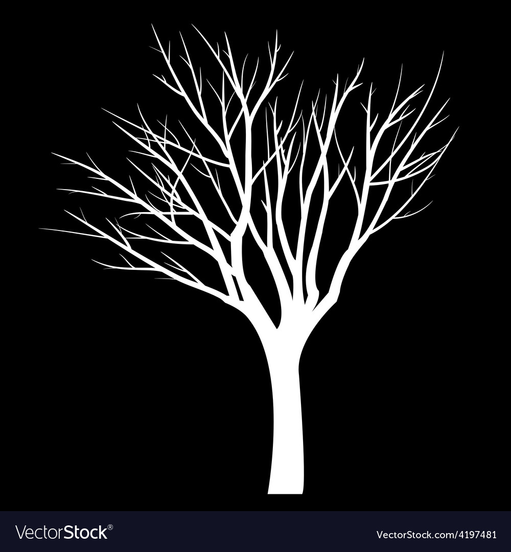 Trees with dead branch
