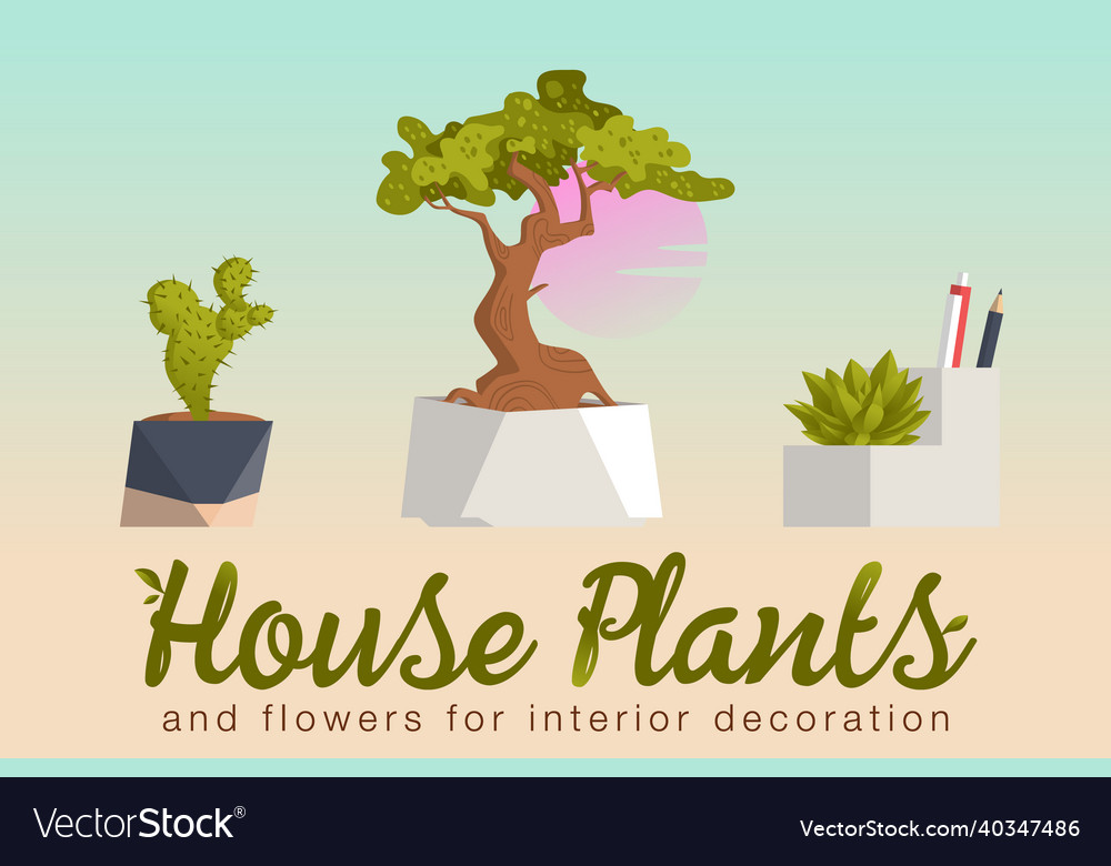 House plants and flowers