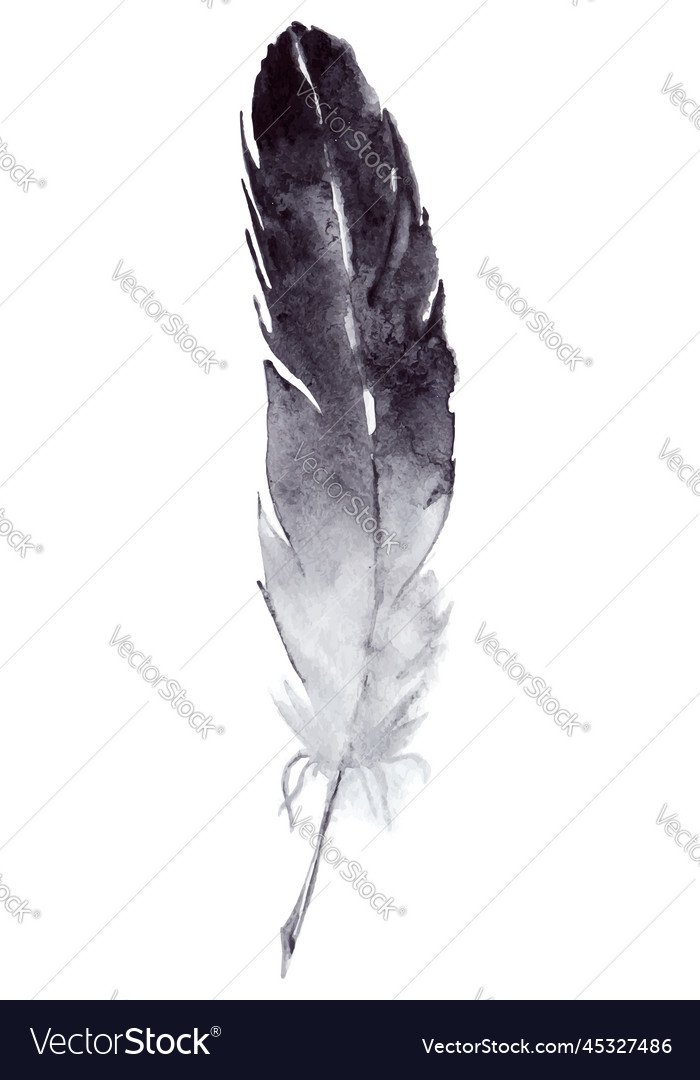 Watercolor black and white single feather isolated