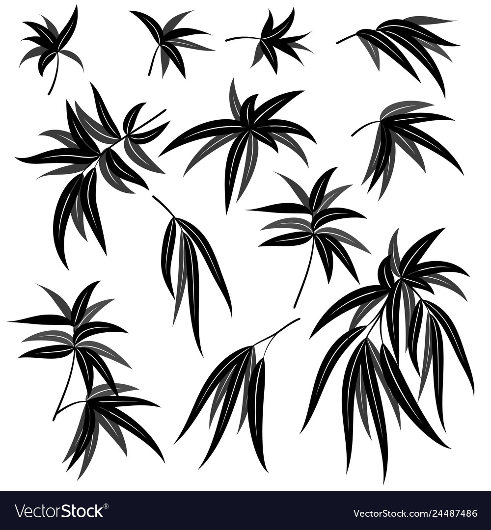 Willow leaves pictograph set