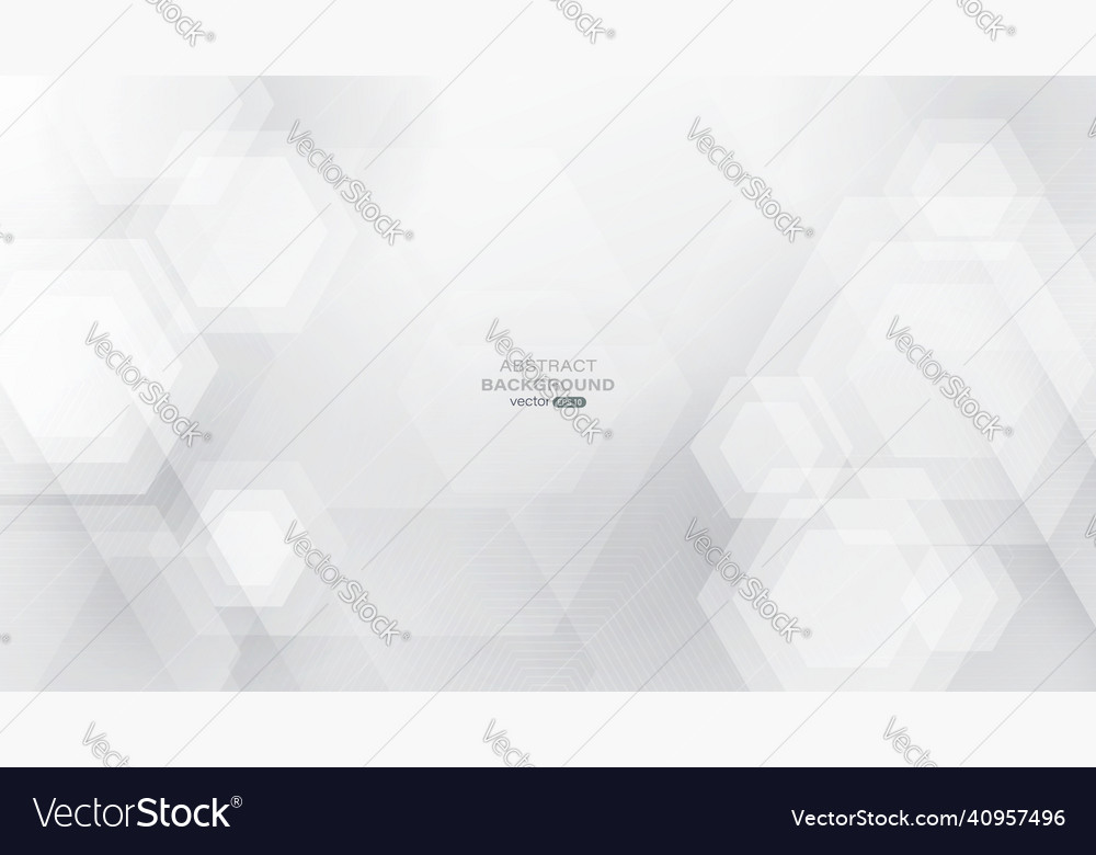 Abstract white and gray hexagonal lines Vector Image Abstract white and gray hexagonal lines
