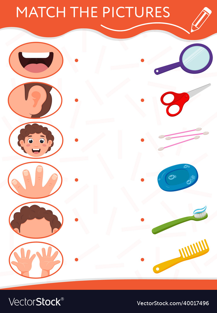 Matching game for children find a couple Vector Image