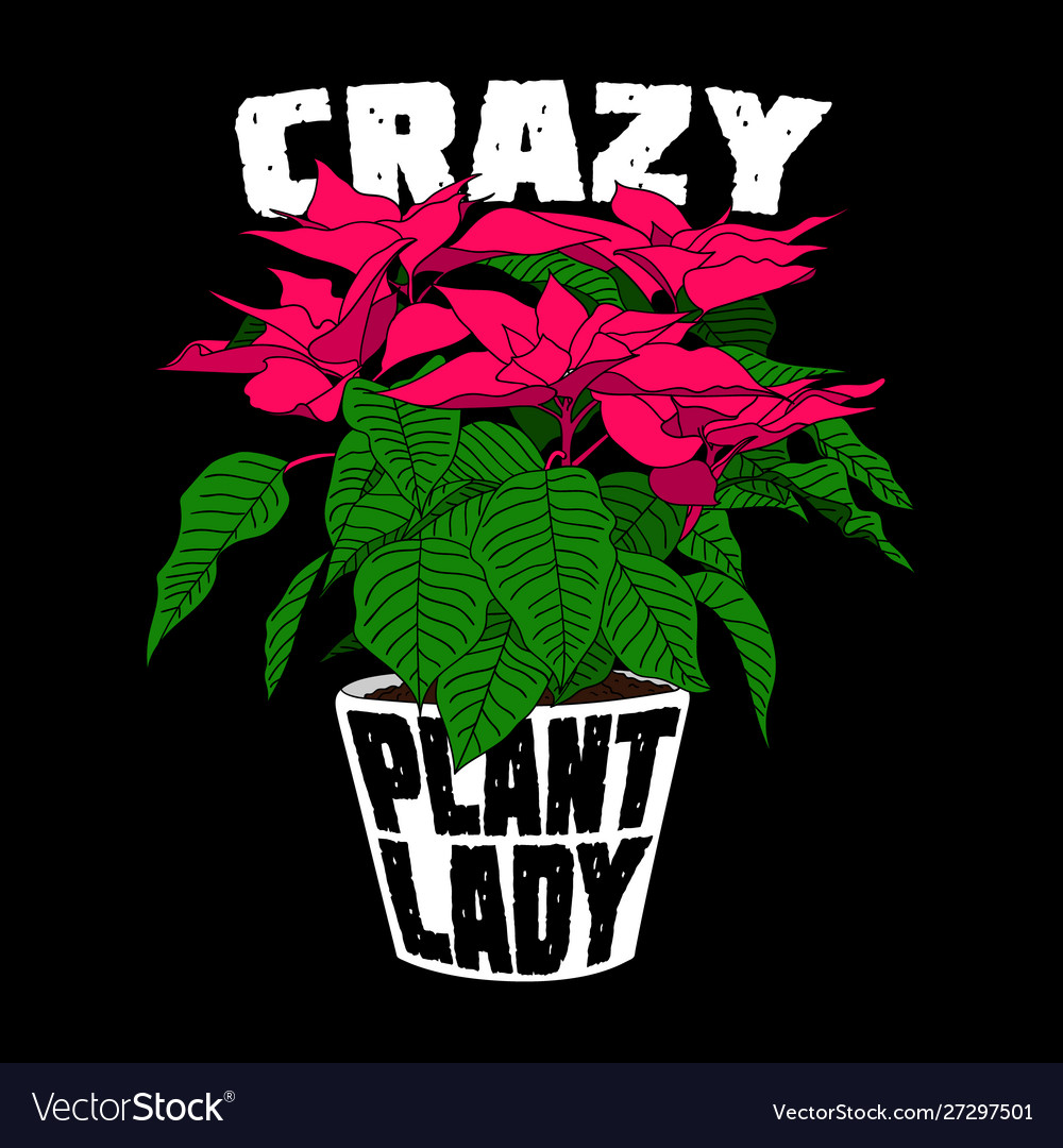 Crazy Plant Lady Quote Poster