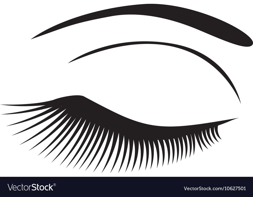 Eye long lashes Royalty Free Vector Image - VectorStock