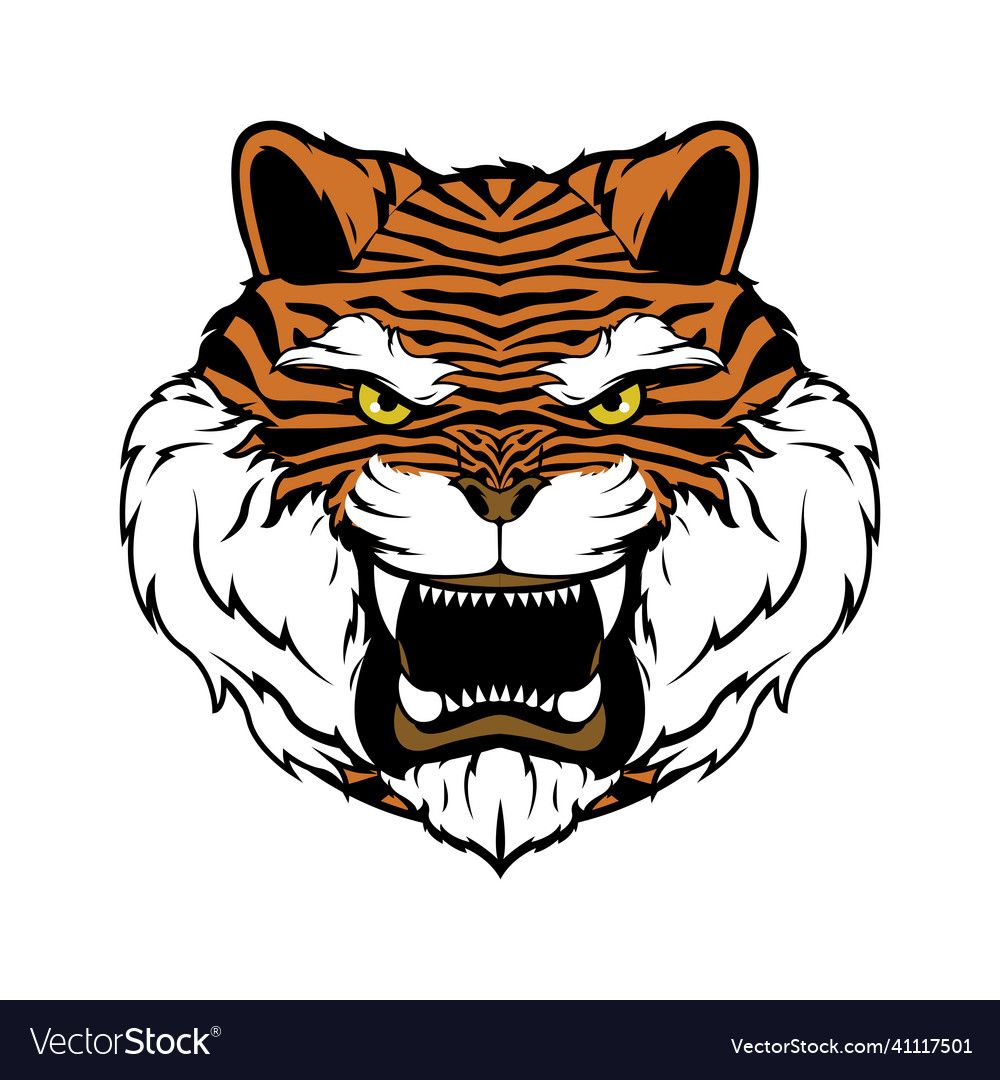 Head tiger Royalty Free Vector Image - VectorStock