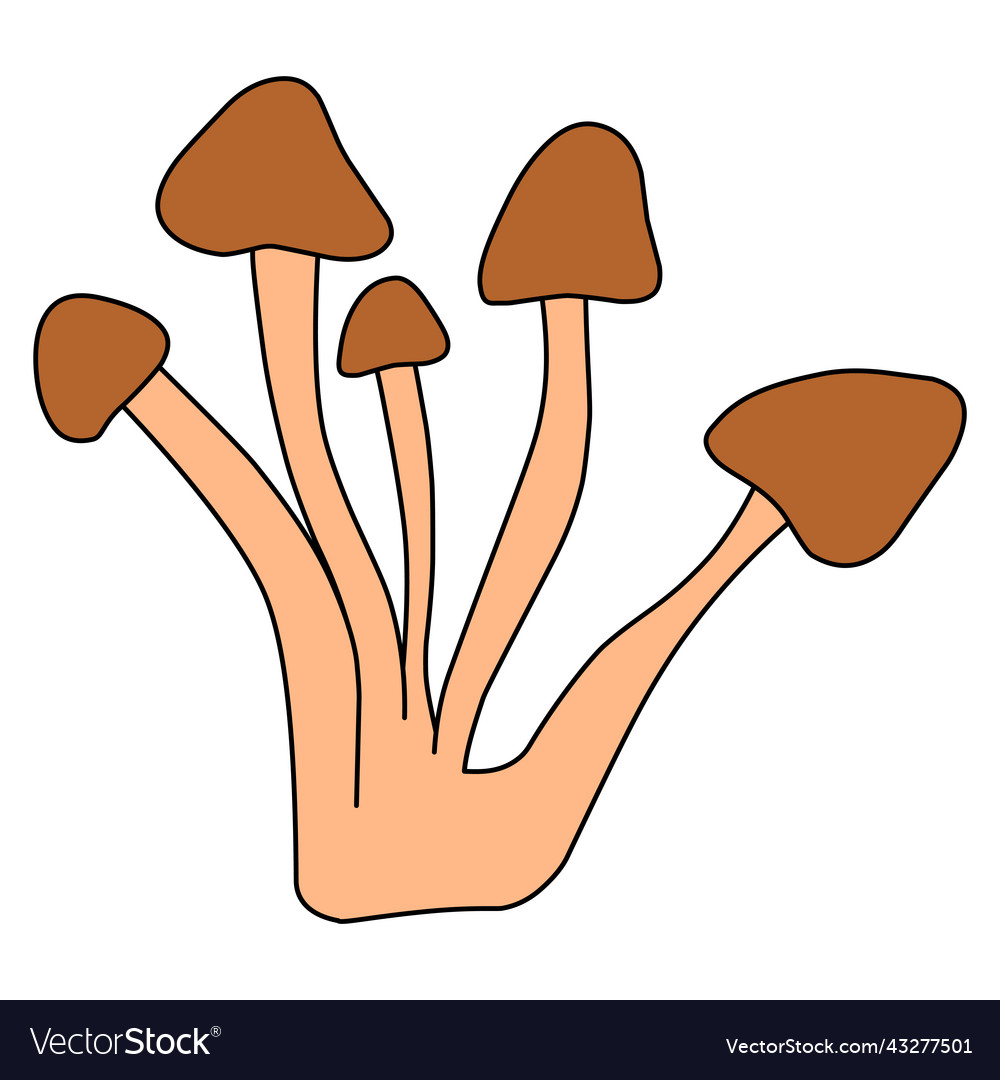 Isolated element forest honey mushrooms group