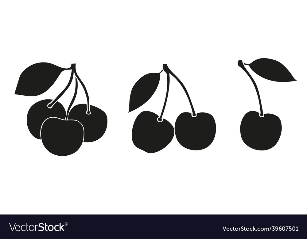 Set of berries a cherry couple cheries bunch