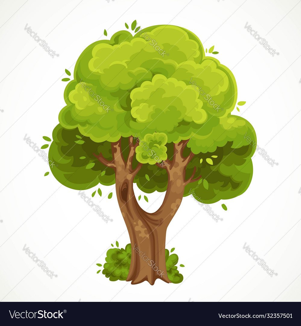 Summer big old tree with fork and green foliage Vector Image Summer big old tree with fork and green foliage