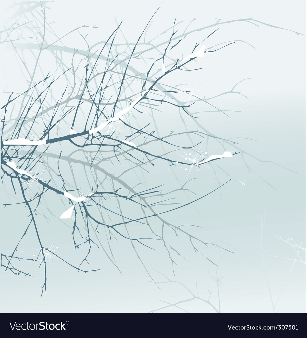 Winter branch Royalty Free Vector Image - VectorStock