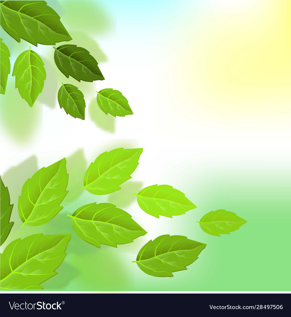 Exotic summer background leaf texture pattern