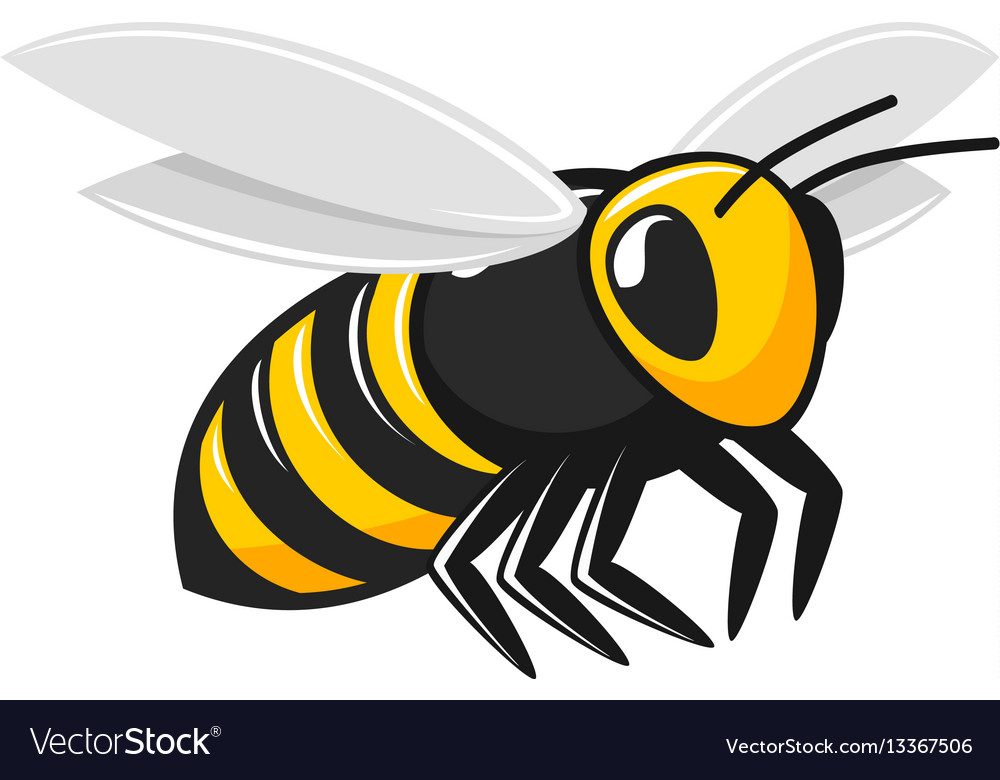 bee vector