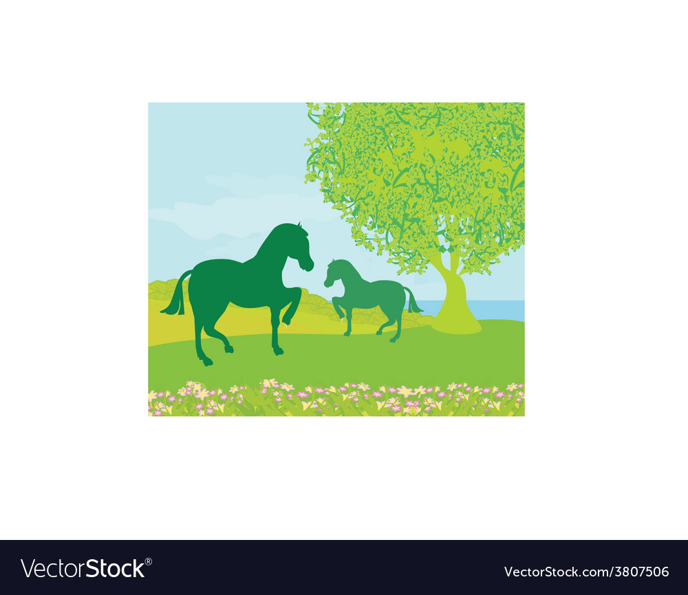 Horses in field