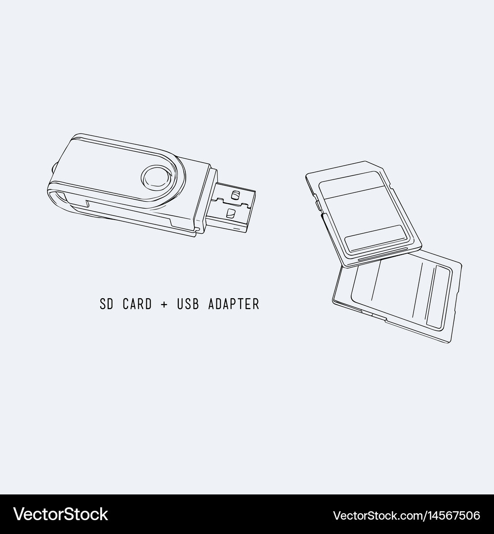 Sd memory card usb adapter Royalty Free Vector Image