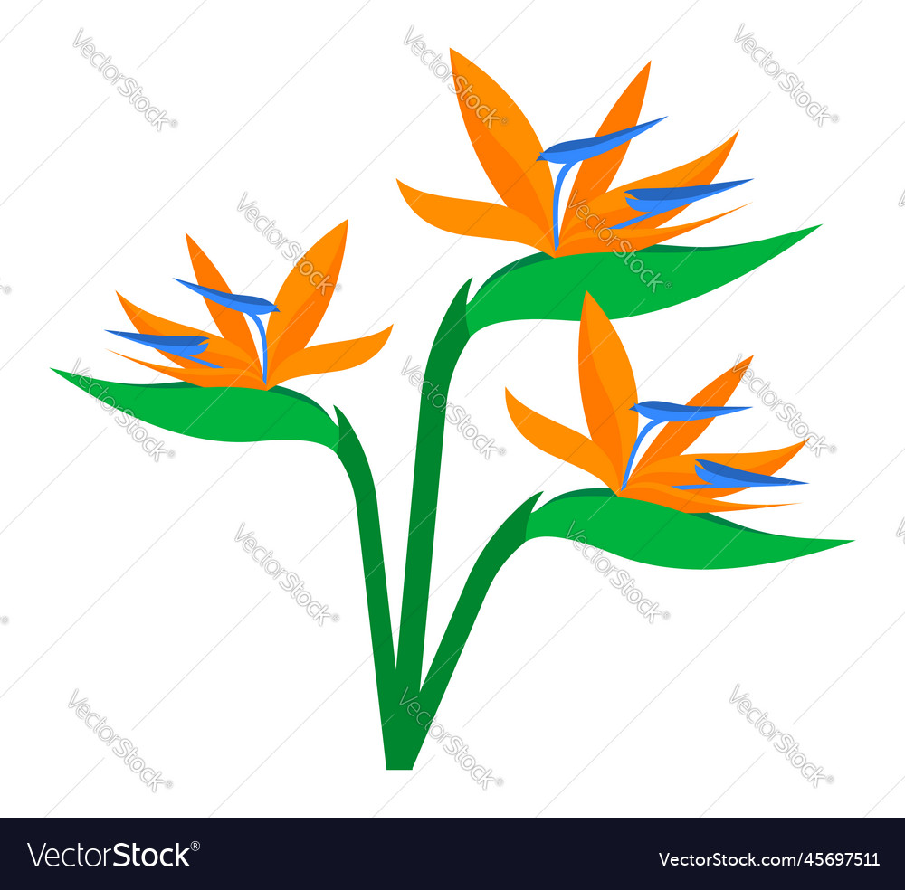 Art Royalty Free Vector Image - VectorStock