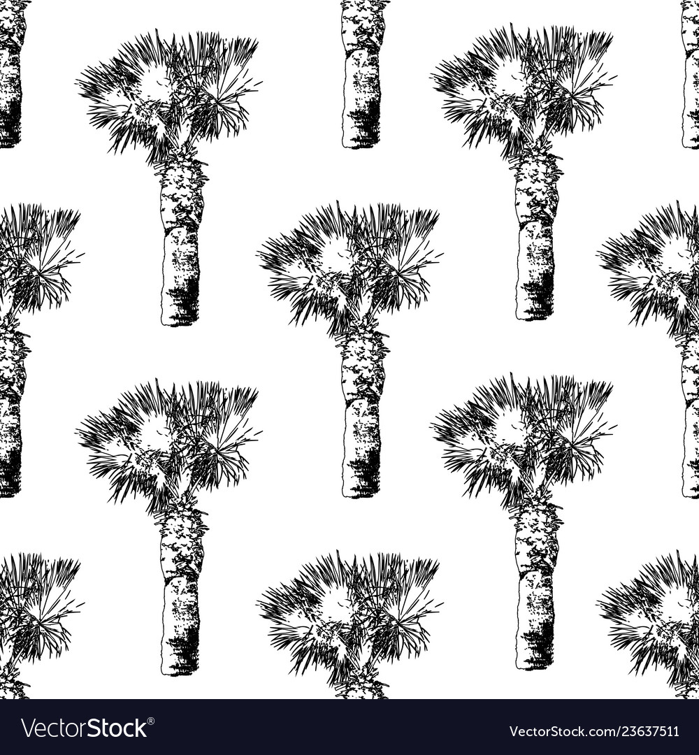 Palm tree pattern