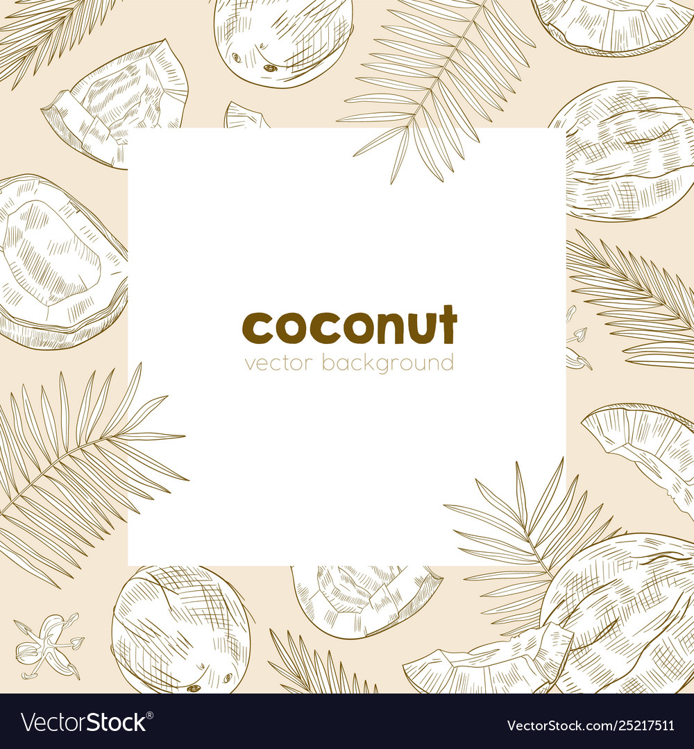 Summer square background template with frame made vector image Summer square background template with frame made