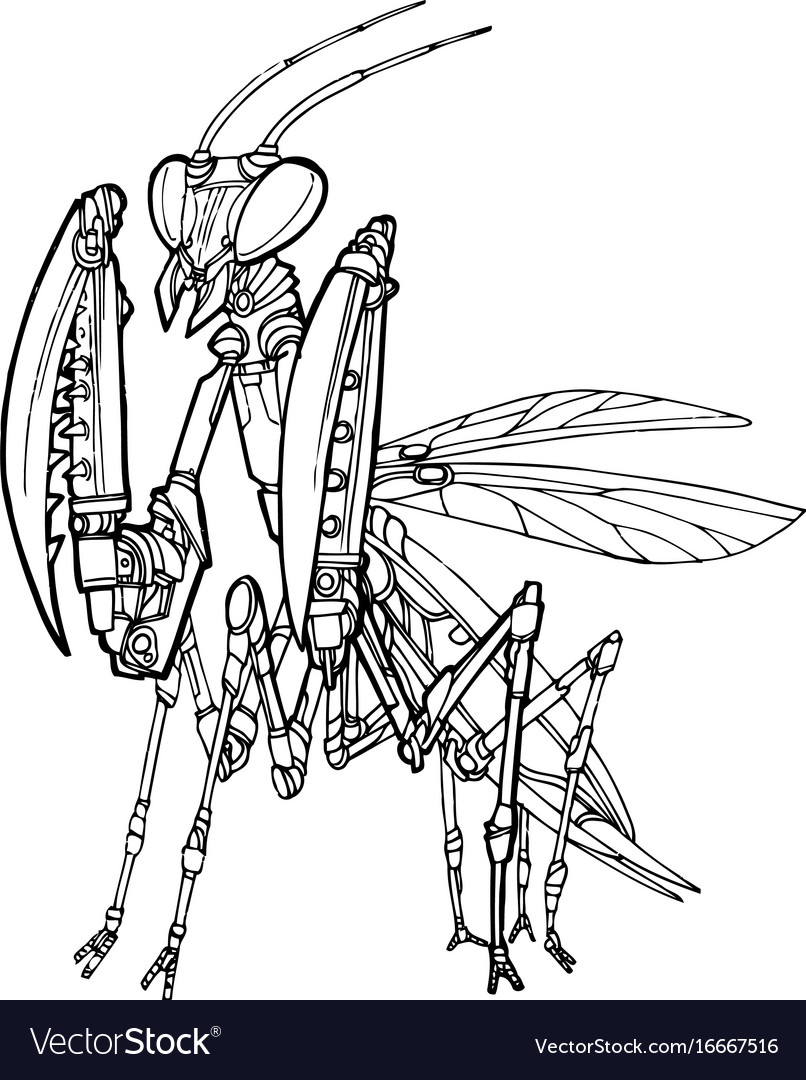 Metallic Mantis Robot