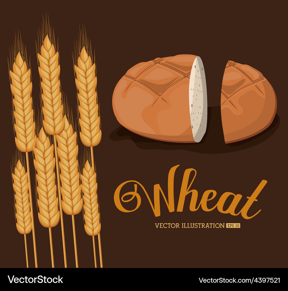 Bakery design Royalty Free Vector Image - VectorStock
