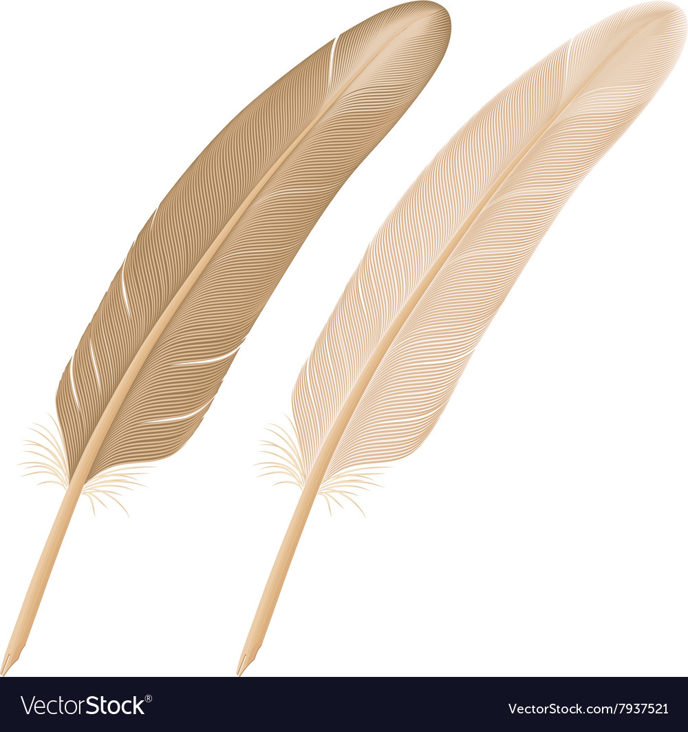 Pen for writing Royalty Free Vector Image - VectorStock