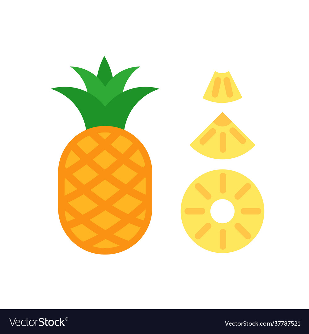 Pineapple Slices - Round, Triangle, Chunk