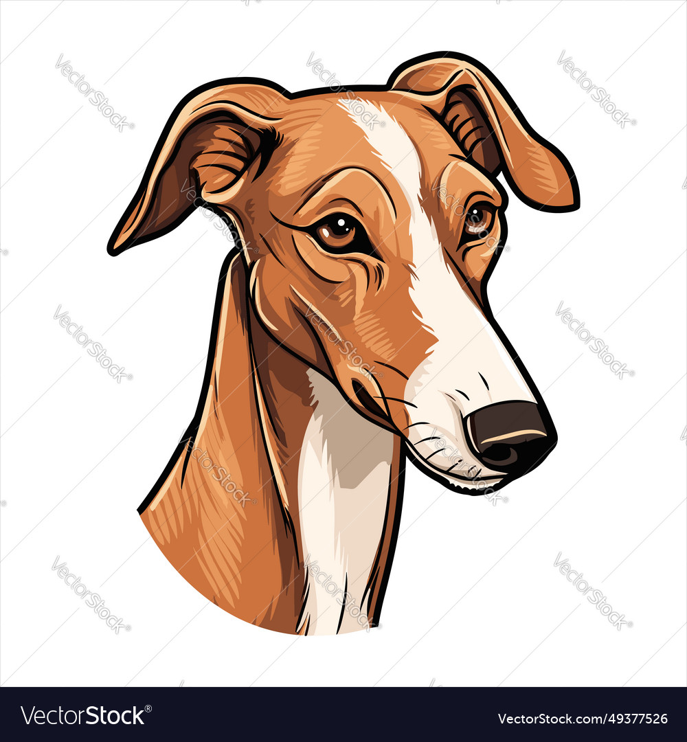 Polish greyhound dog breed cute cartoon kawaii