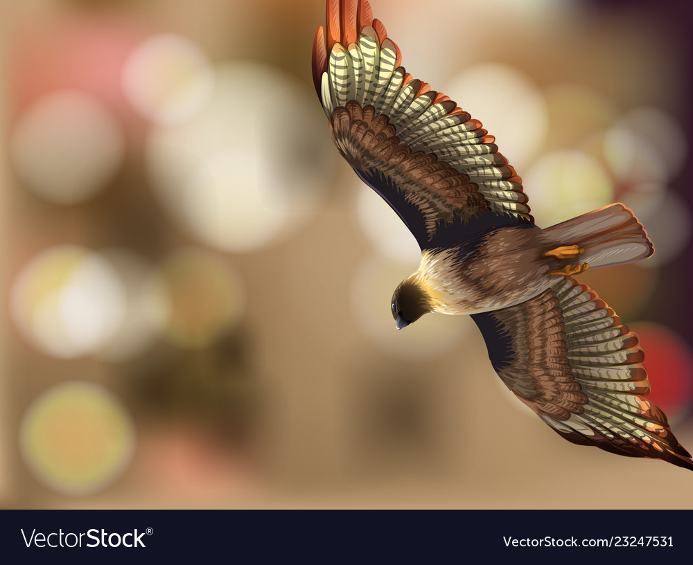 A bird on blur background Royalty Free Vector Image
