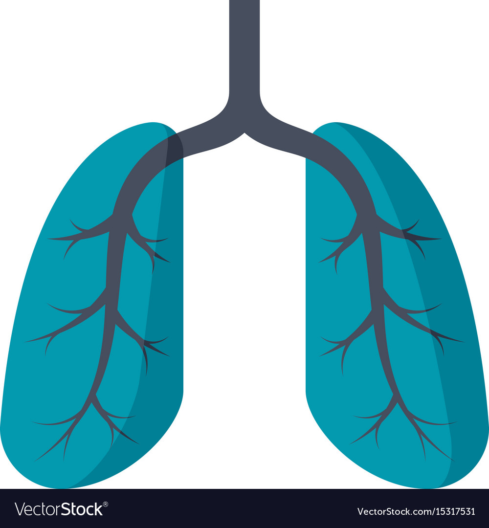 Lungs Medical Icon Royalty Free Vector Image - Vectorstock