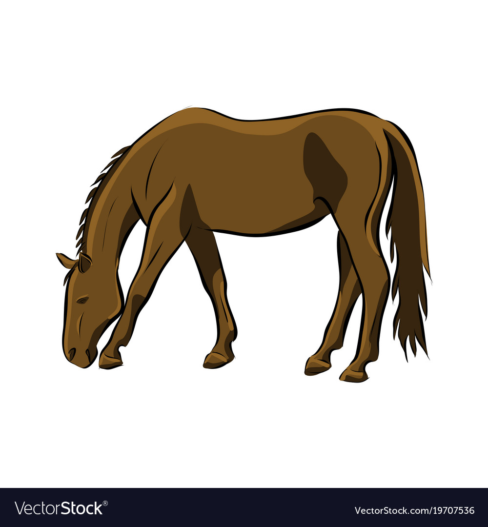 Hand drawn brown horse