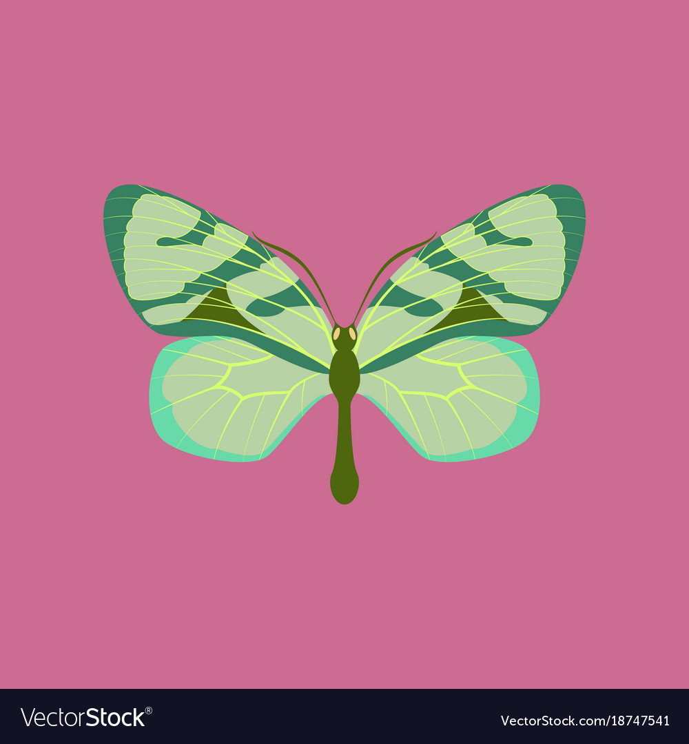 Colorful icon of butterfly isolated on pink