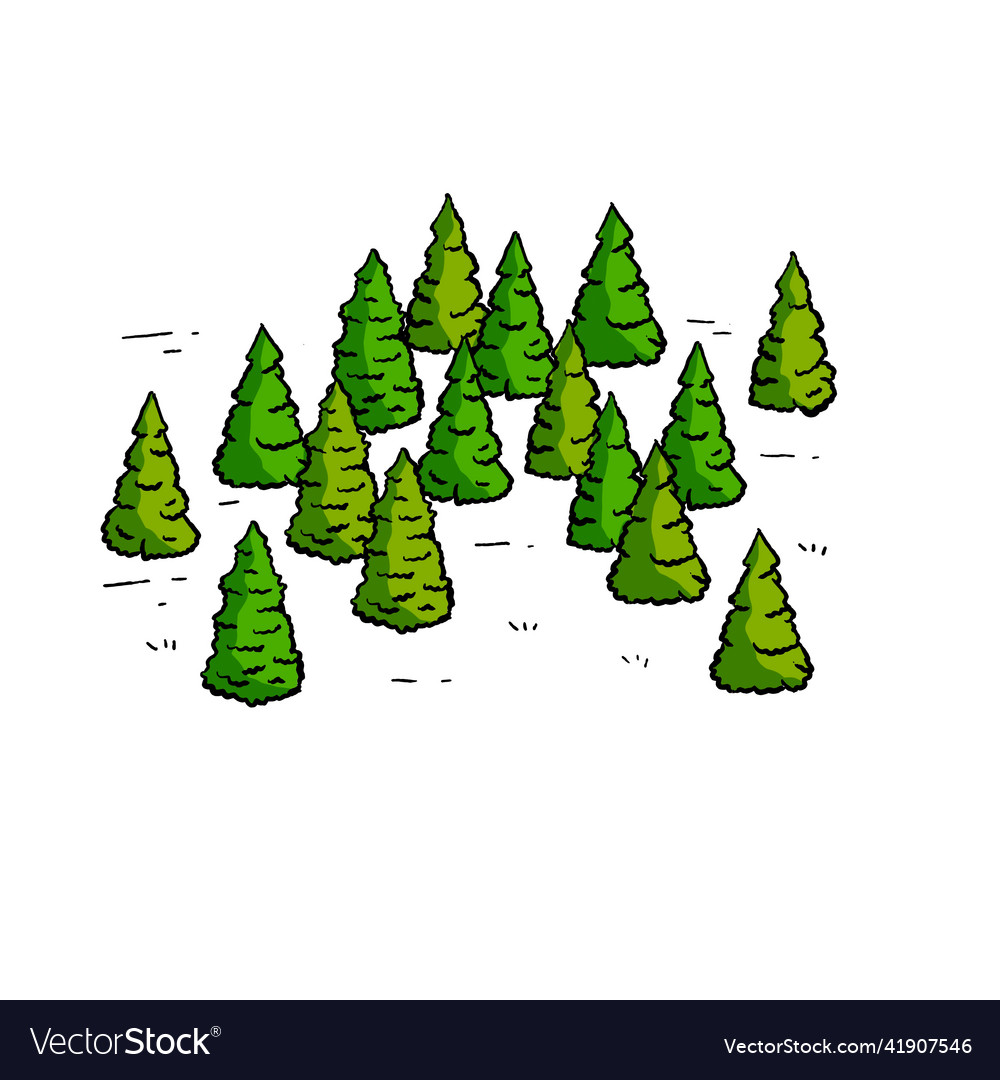 Christmas trees in green forest