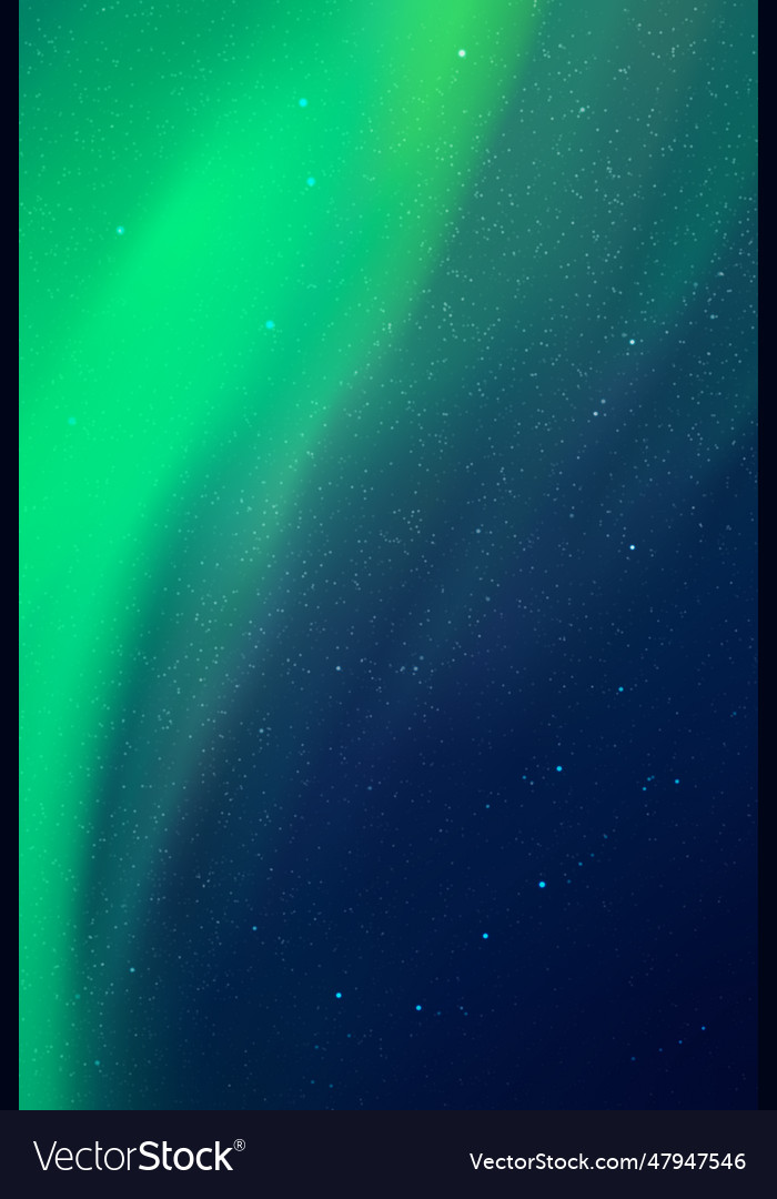 Night starry sky and northern lights green aurora Vector Image