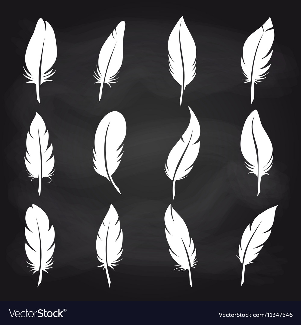 Vintage feather set on chalkboard Royalty Free Vector Image