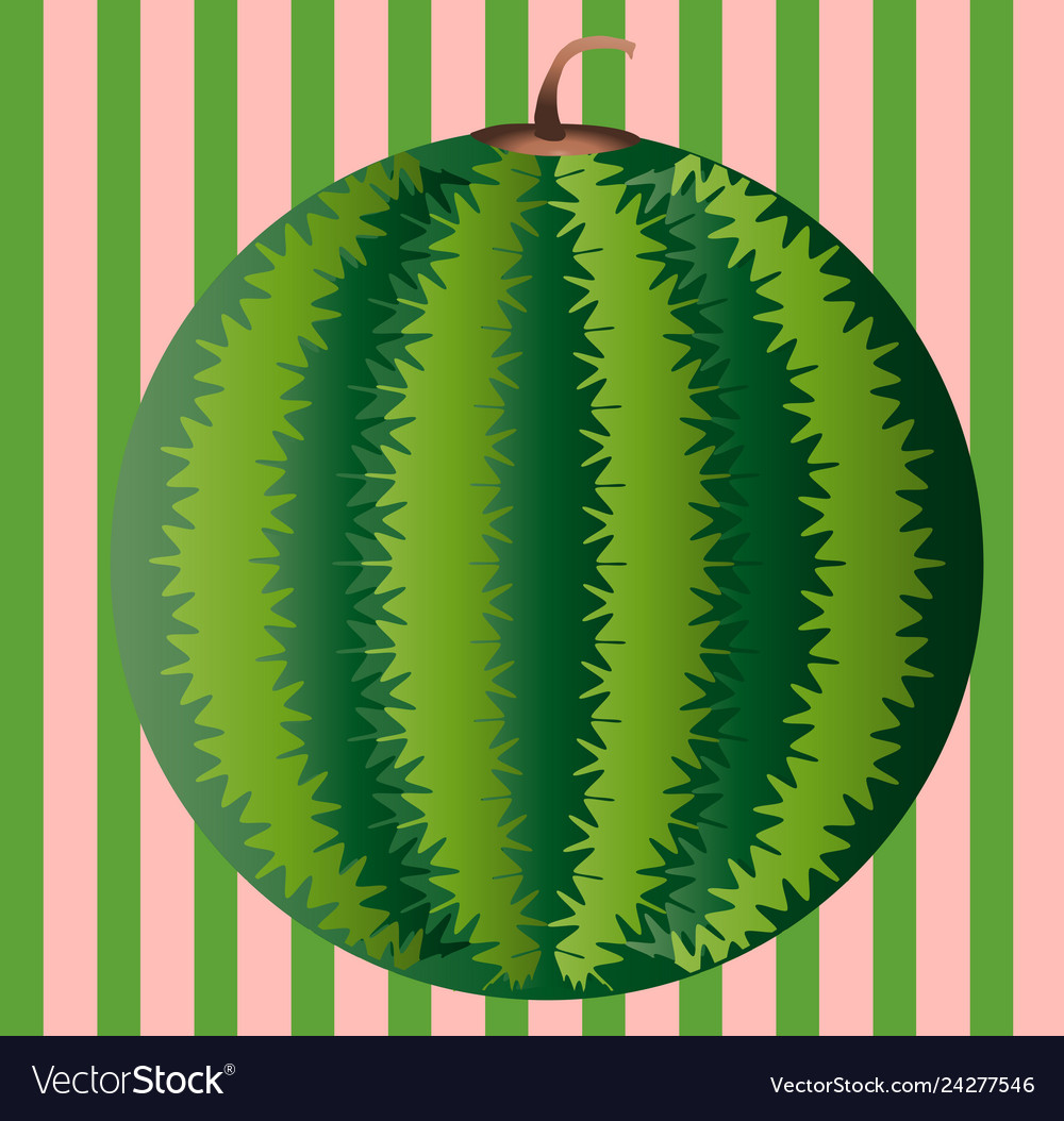 Watermelon slice background with seed and skin Vector Image