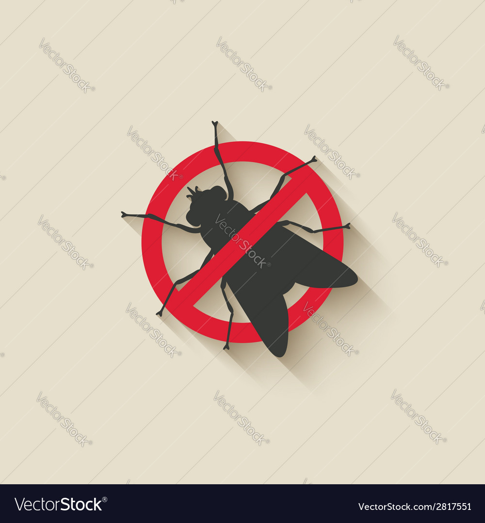 Learning to fly Royalty Free Vector Image - VectorStock