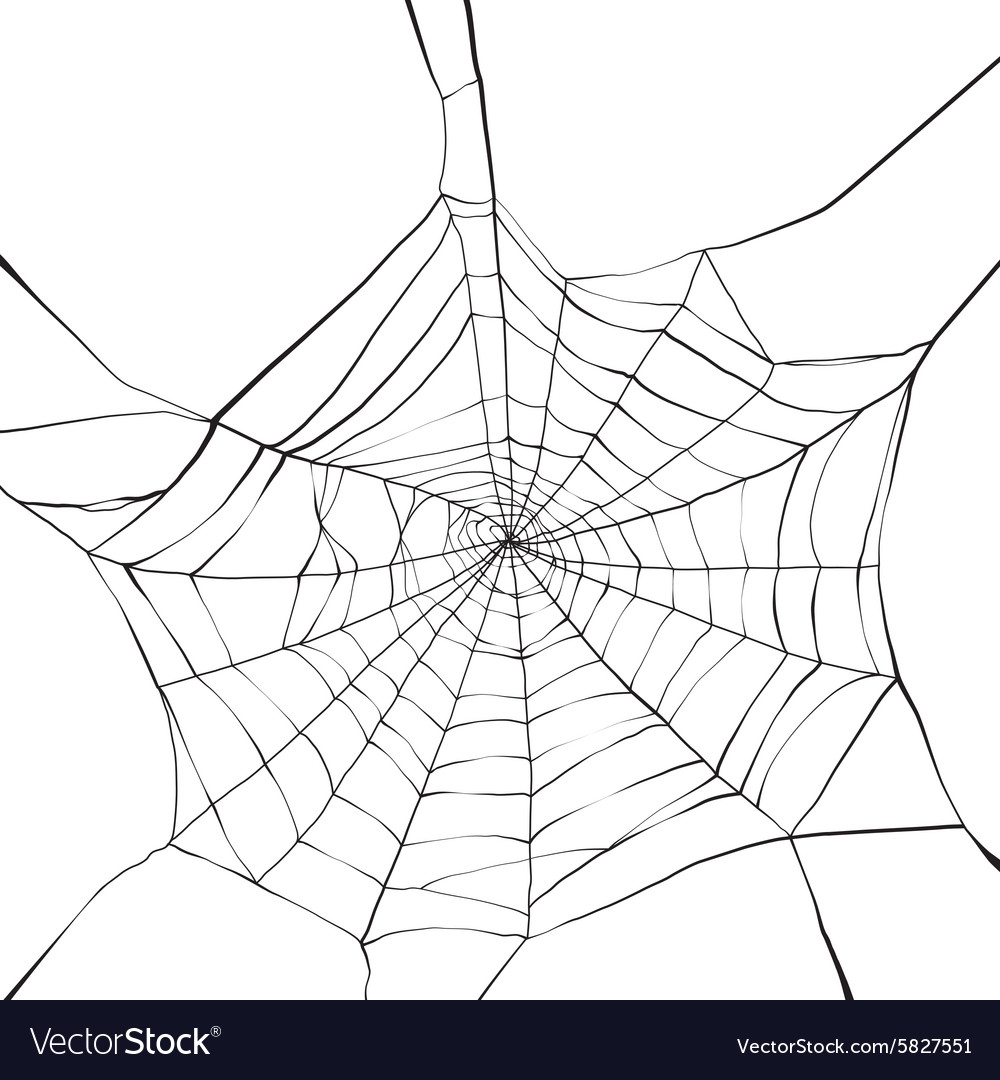 Download Spider web Royalty Free Vector Image - VectorStock