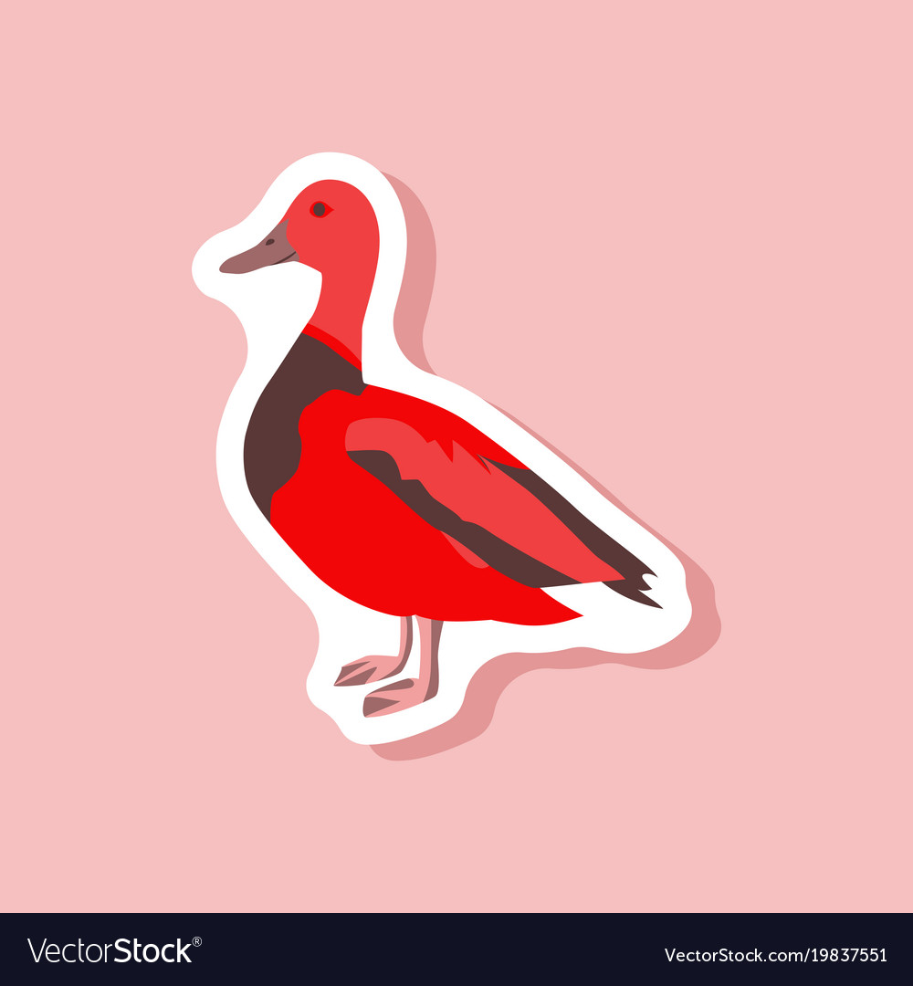 Wild duck paper sticker on stylish background