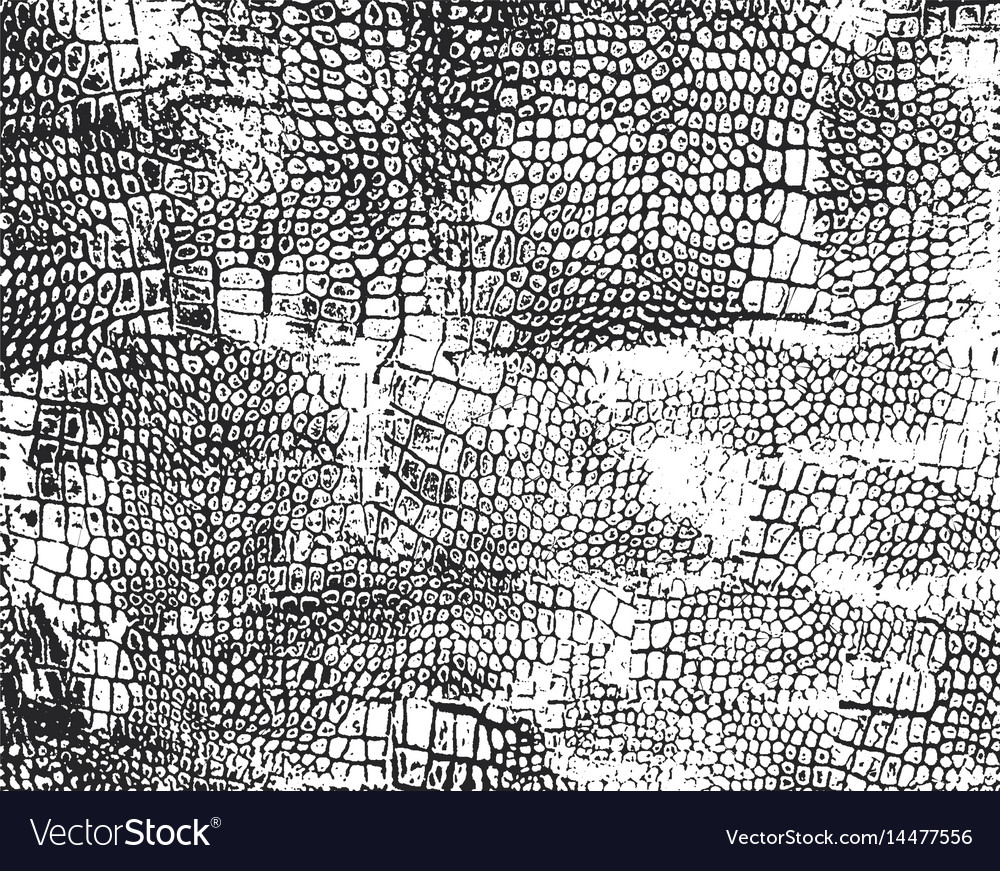 distressed texture distressed background