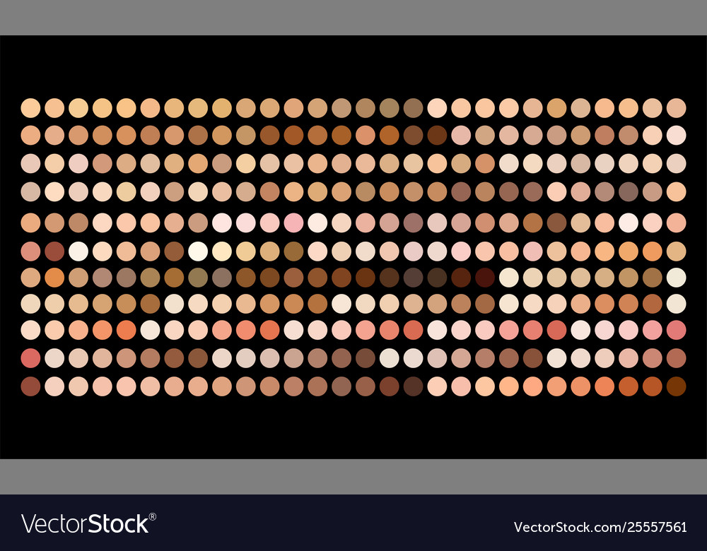 Human Skin Tone Color Palette Swatches Royalty Free Vector