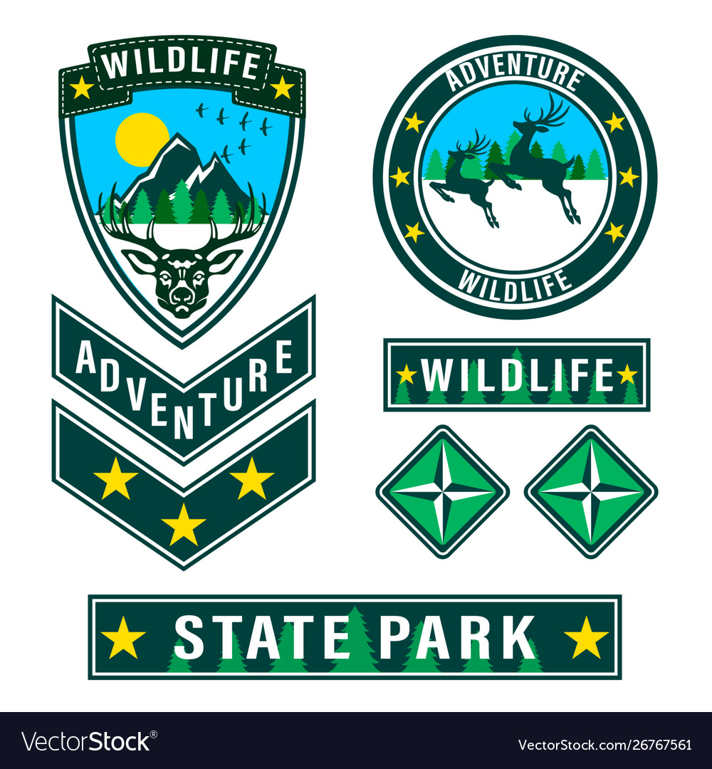 Patch forest camp