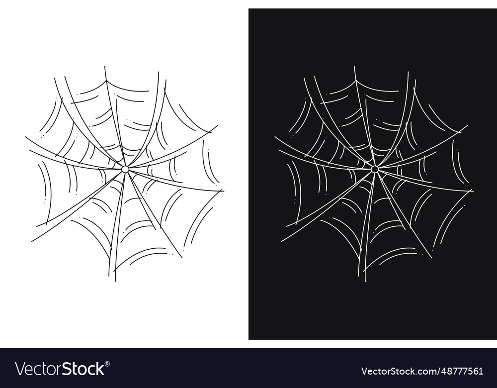 Scary spider web as a symbol of halloween black