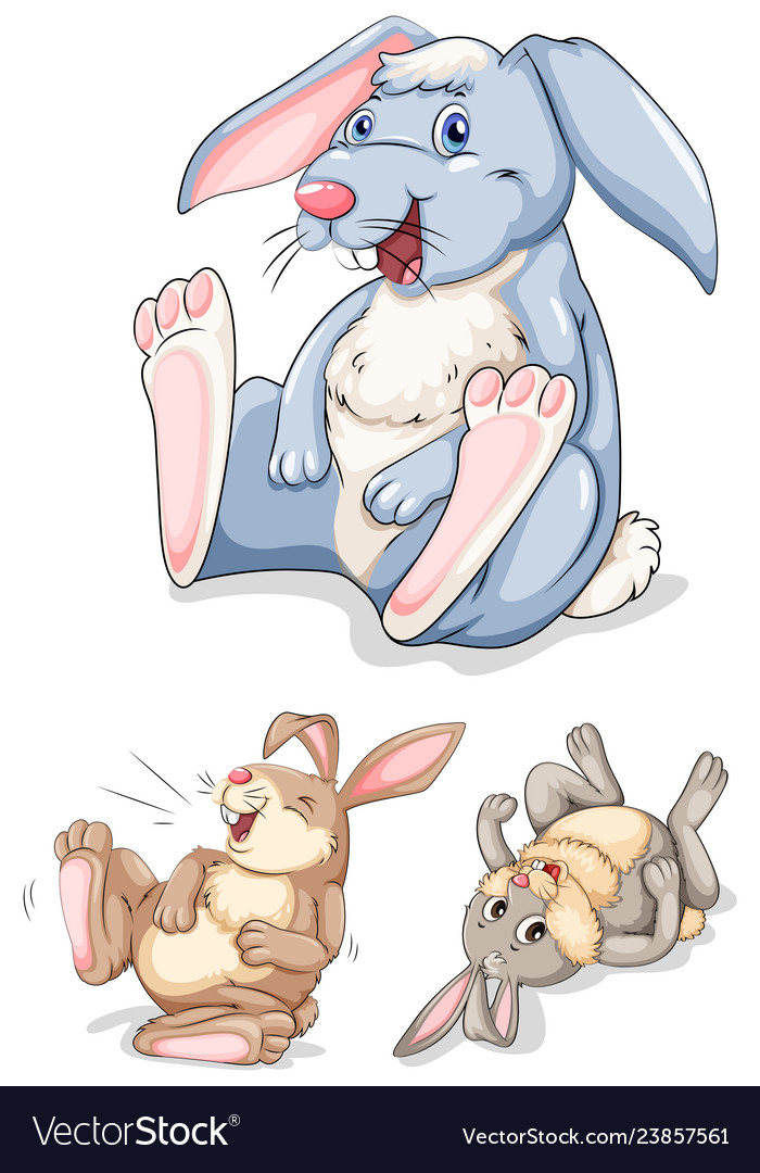 Set of rabbit character