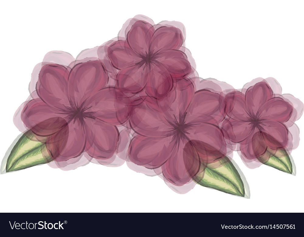 Watercolor silhouette of malva plant with flowers