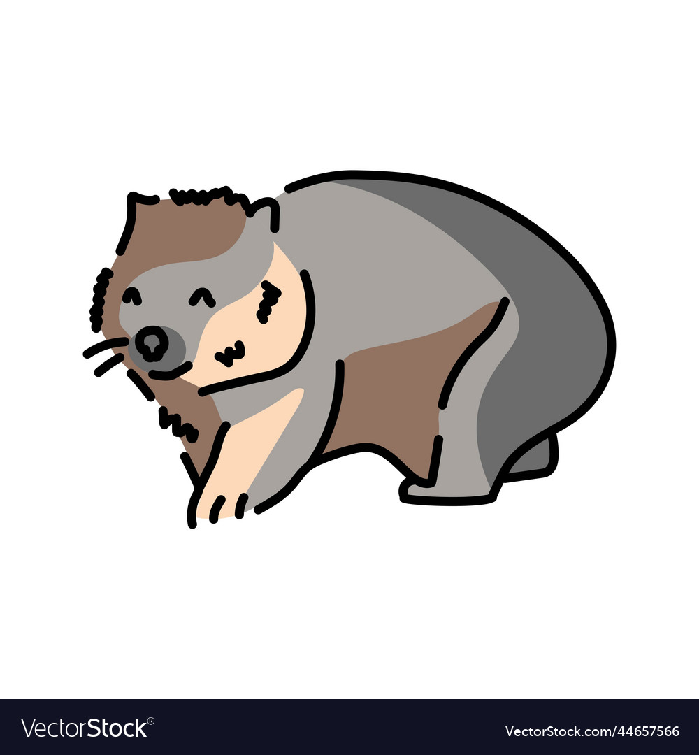 Australian wombat color line animals